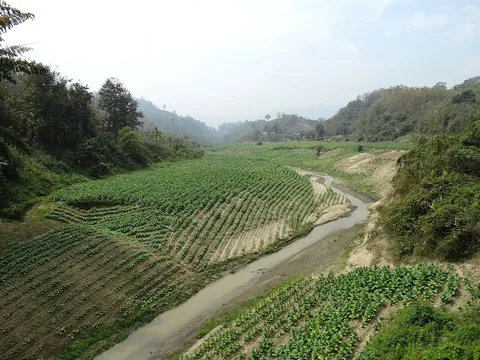 Cultivated valley in the Chittagong Hill Tracts