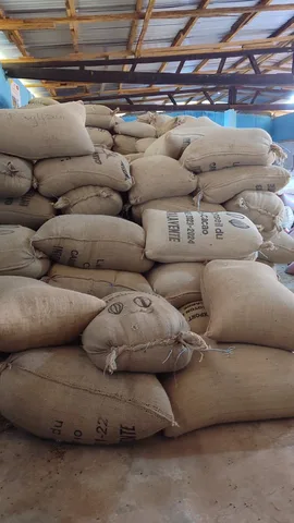 Green coffee sacks at SOCOAZA cooperative · Zagouiné · Côte d’Ivoire