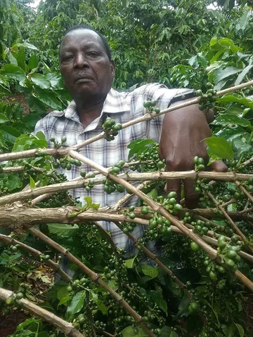 Coffee farmer Kithinji Kabiru · Embu · Kenya