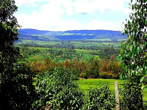 Mogobich Valley · Nandi Hills · Kenya