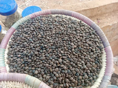 Coffee beans at Bakin Dogo Market · Kaduna North · Nigeria