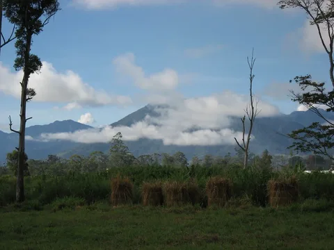 Highland scenery · Mount Hagen / Wahgi Valley · 2007