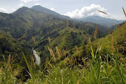 A green valley near Kundiawa, Simbu