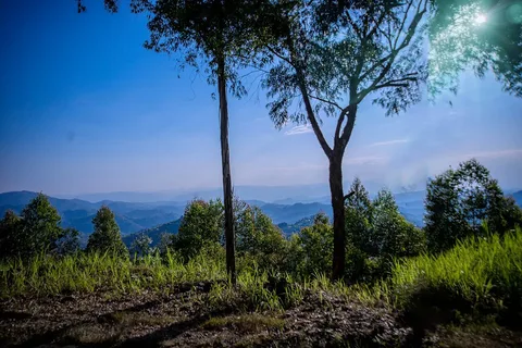 Hills of Rulindo · Rwanda