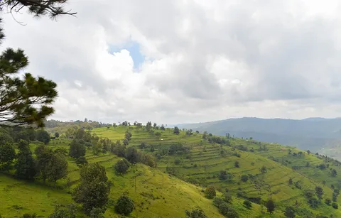 Terraced fields · Rubavu · Rwanda