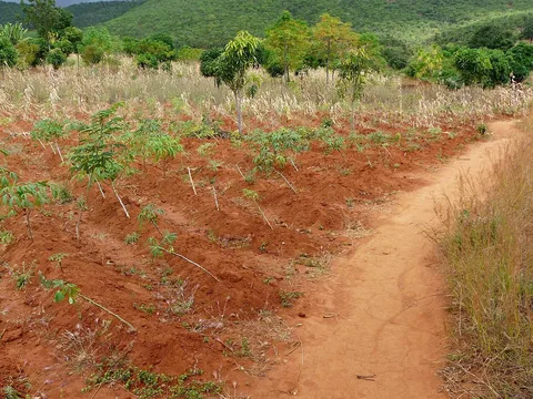 Agricultural landscape · Ruvuma · Tanzania