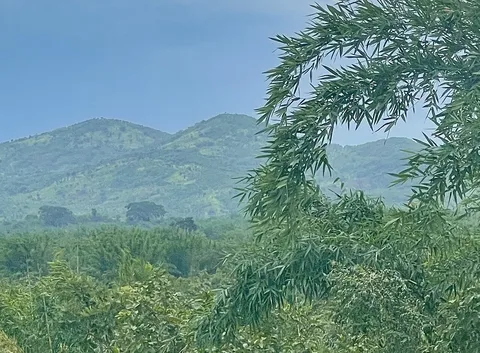 Matendo landscape · Kigoma · Tanzania