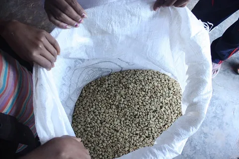 Bag of green coffee in Ermera, Timor-Leste