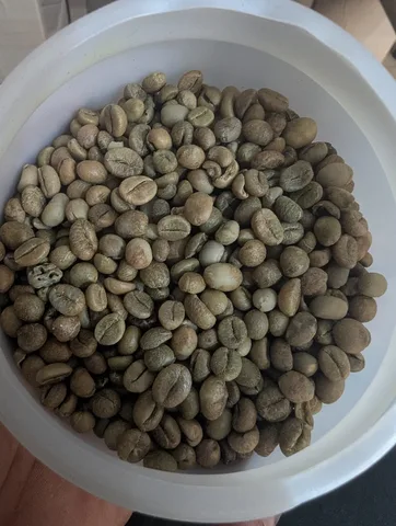 Green coffee beans · Kpalimé · Togo