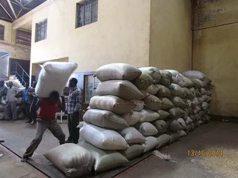Arabica coffee arriving at Bugisu Cooperative Union · Uganda · 2014
